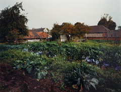 Garzweiler Garten 1989-9-4