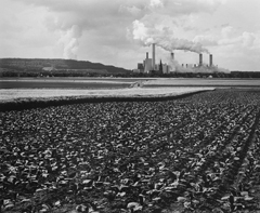 Garzweiler (Gustorf) 1988-6-9