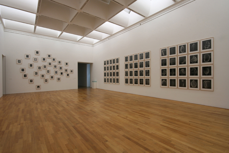 Kunstmuseum Bonn 2007, Planktos and Embryo Series