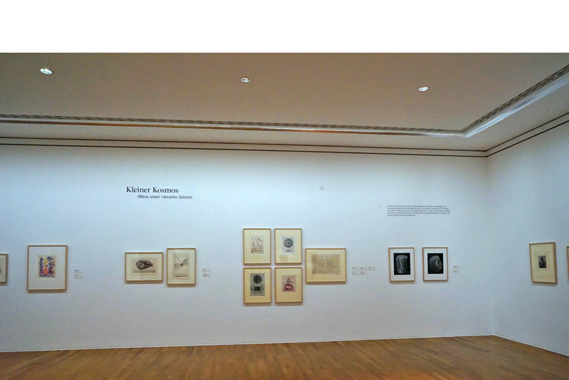 Claudia F�hrenkemper - Embryo, Kunstmuseum Bonn, 2022