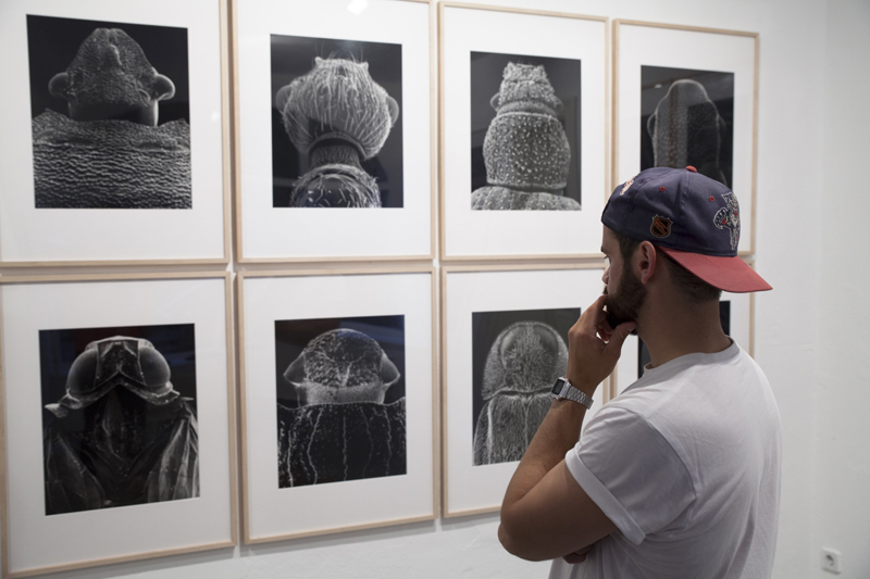 Claudia F�hrenkemper - Fotografien von 1988�2015, Imago Series, aff Galerie, Berlin, 2015