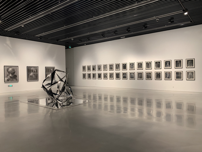 Claudia F�hrenkemper - Imago Series, Taicang Art Museum, 2025