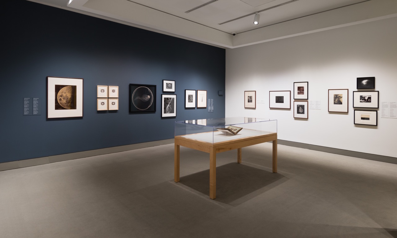 'The Extended Moment: Fifty Years of Collecting Photographs', National Gallery of Canada, Ottawa, 2018 - Metamorphosis Series