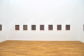 Claudia Fhrenkemper - Pflanzenfotogramme Series, Kunstmuseum Bonn, 2010