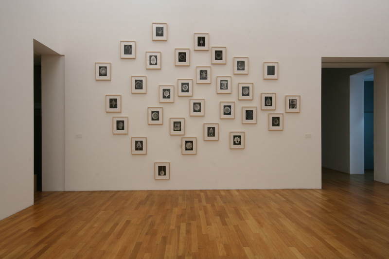 Kunstmuseum Bonn 2007, Planktos Series