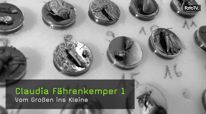 Claudia Fährenkemper - Vom Großen ins Klein Claudia Fährenkemper on Youtube-FotoTV